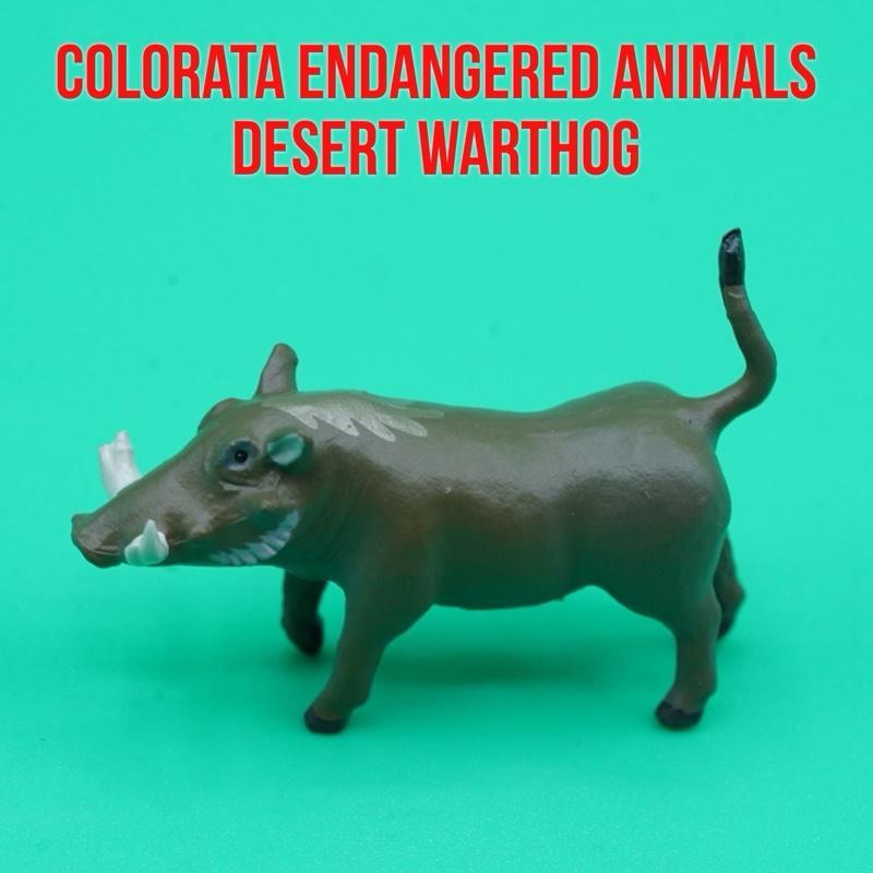 Colorata Endangered Animals | Desert Warthog Babi Gembol Gurun Babi Hutan Gurun Phacochoerus aethiop