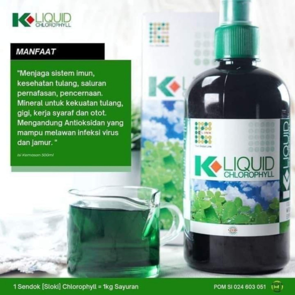 klorofil k link minuman herbal k liquid chlororphyll