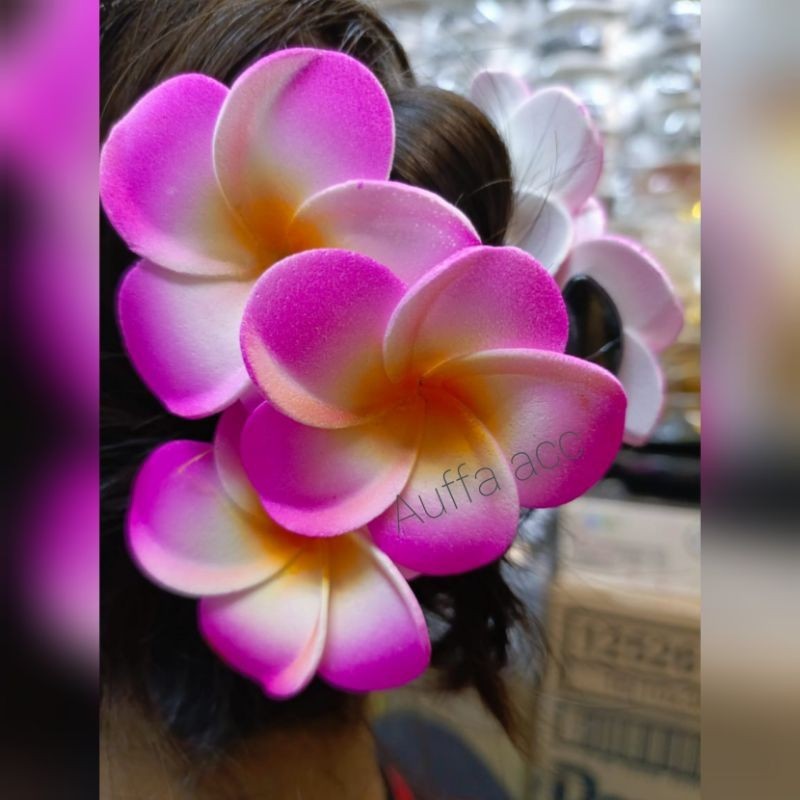 JEPIT RAMBUT KAMBOJA/JEPIT RAMBUT BUNGA KAMBOJA/JEPIT RAMBUT KAMBOJA WARNA