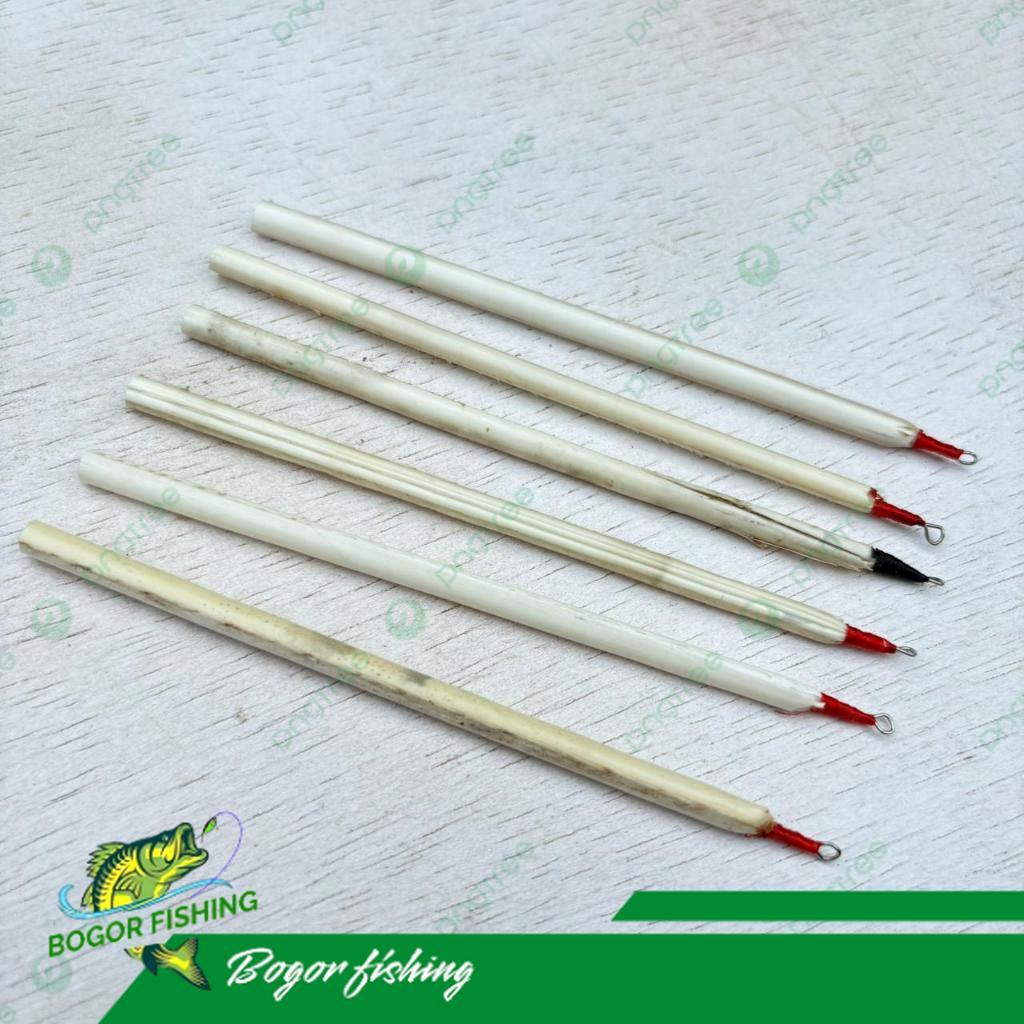 PELAMPUNG BULU MERAK ASLI - PEMBAWA KEBERUNTUNGAN - MERAK ORI 100%