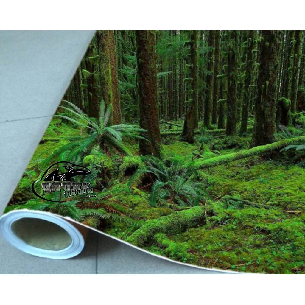 Stiker camo Natural Jungle 50x50cm