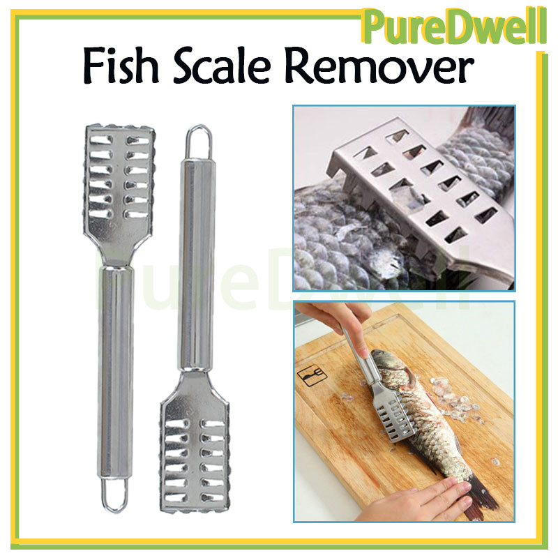pengupas sisik ikan stainless steel anti karat/alat pengupas kerokan sisik ikan praktis /kerokan sis