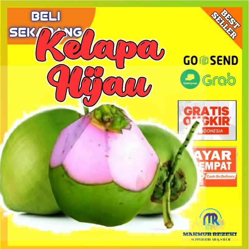 KELAPA HIJAU IJO ASLI UTUH UNTUK OBAT HARGA PER 1 PCS KELAPA CENGKIR