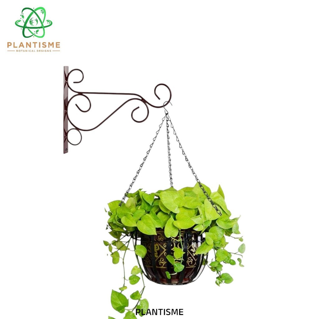 Rak Tanaman - Jolode Wall Hanger Bracket Besi Gantung Serbaguna Gantungan Dinding Tanaman Bunga Hook