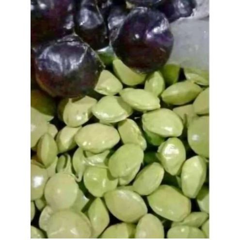 Jengkol Muda Mentah 1Kg Super Segar Lalapan