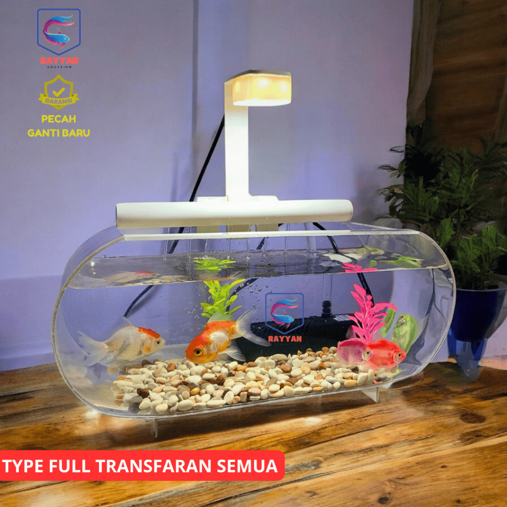 NMZSHOP AQUARIUM JUMBO FULL AKRILIK TRANSFARAN UKURAN 35 X 15 X 15 LENGKAP TINGGAL PAKAI (JUMBO T)