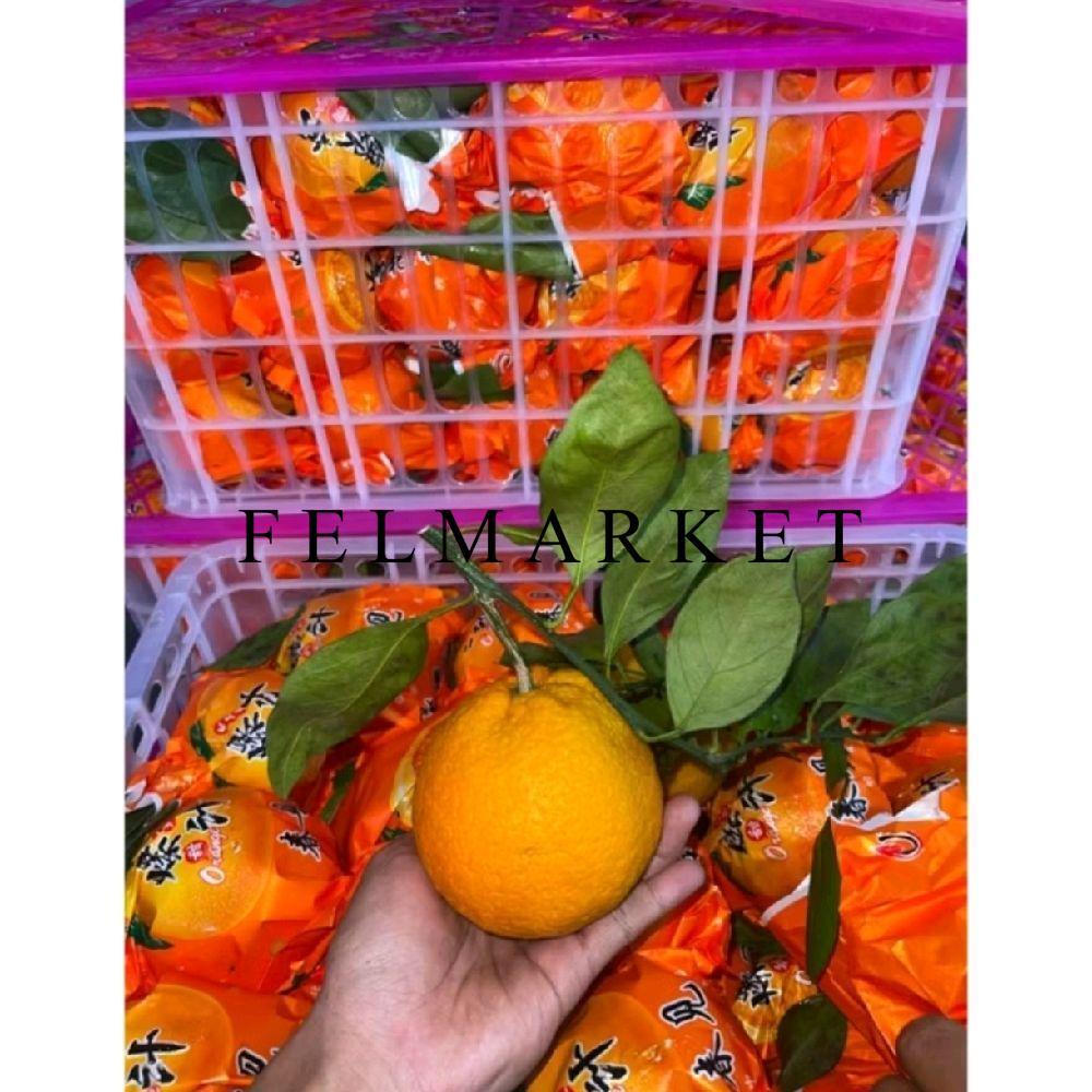 Promo Jeruk Dekopon Import / Jeruk Chun Jian / Jeruk Sumo / Keranjang