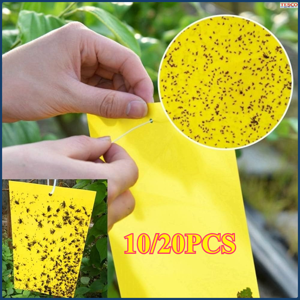 10/20 Pcs Yellow Trap Likat Kuning Yellow Trap Perangkap Lem Lalat Buah Kertas Hama
