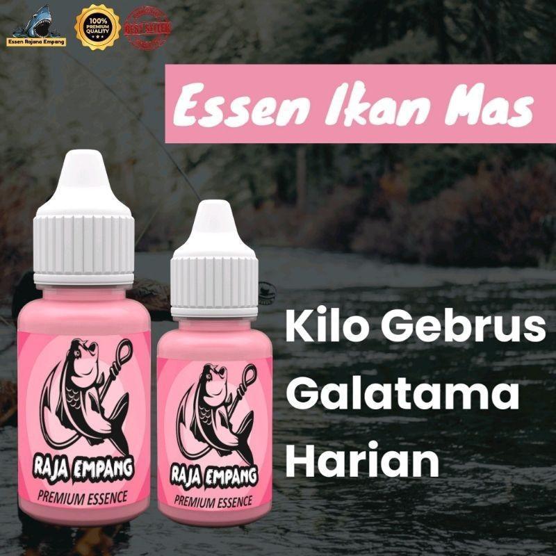 Esseen raja empang Ikan Superessen ikan mas warna pink campuran pelet jituessen ikan mas paling bagu