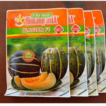 BENIH BLEWAH BLASTER F1 15 GRAM BINTANG ASIA