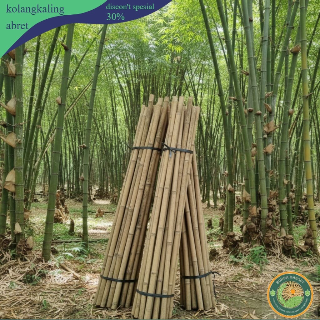 Tongkat Bambu Tongkat Pramuka ukuran 160Cm