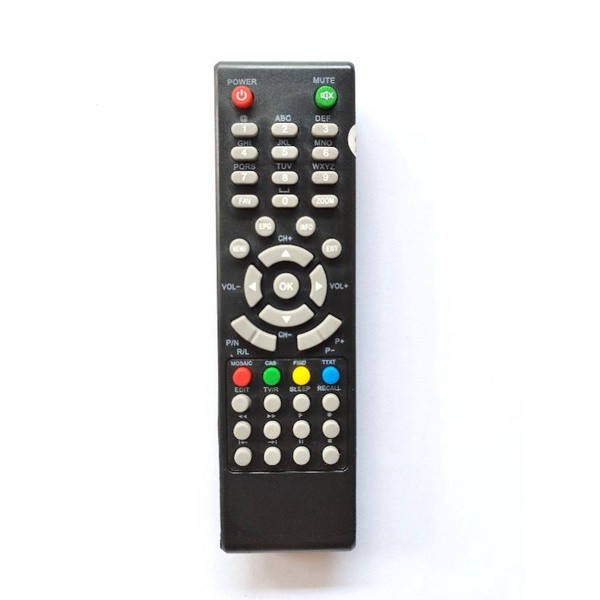 REMOT REMOTE GOLDSAT LILY - ROSE - ORCHID - GEOSAT RECEIVER / DECODER PARABOLA