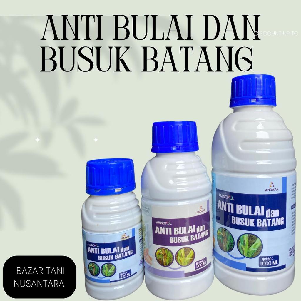 Anti bulai dan busuk batang tanaman pencegah penyakit  busuk daun batang