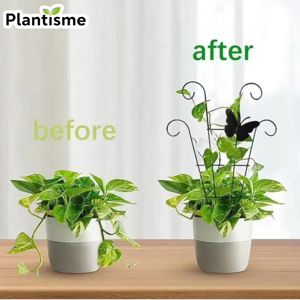 Dekorasi Rambatan Tanaman – Teralis Hitam Penyangga Rambat Fan Trellis Metal Plant Support Stand Cli
