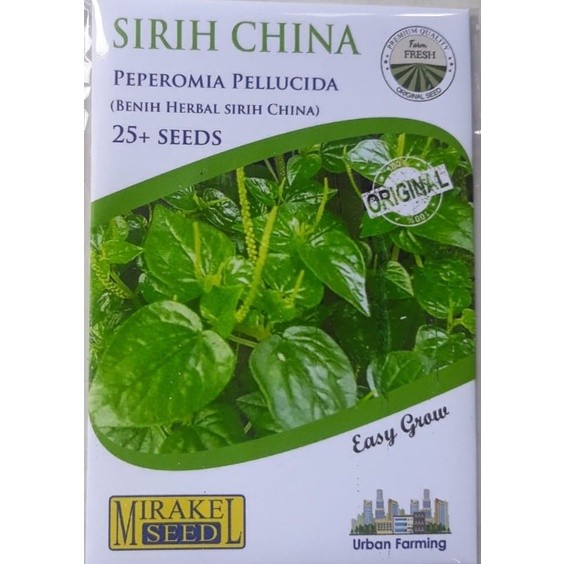 BENIH SIRIH CINA OBAT HERBAL KOLESTEROL 25 SEED