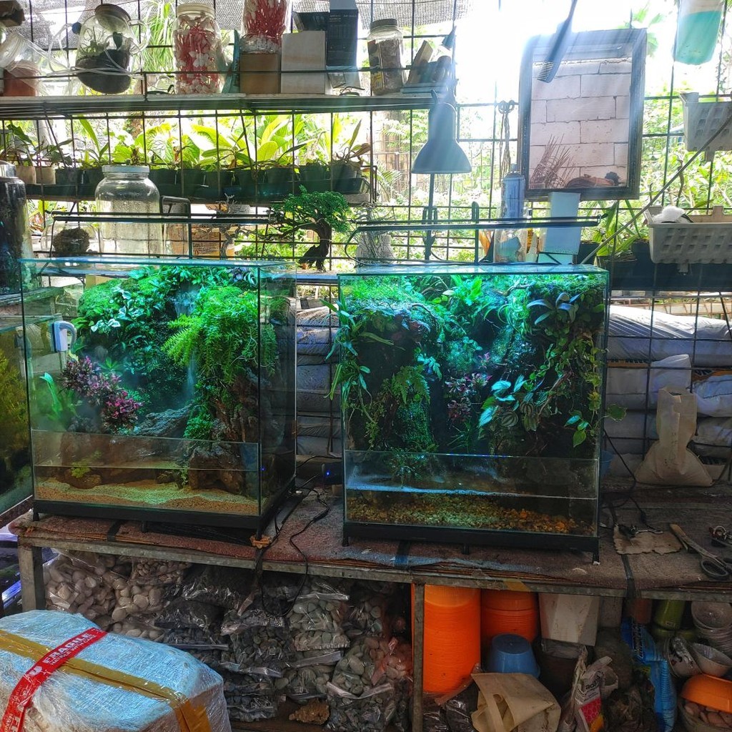 Paludarium - Side Waterfall Cliff Tebing Cascade Fullset Aquatic Semi Darat Vivarium Aquascape Displ
