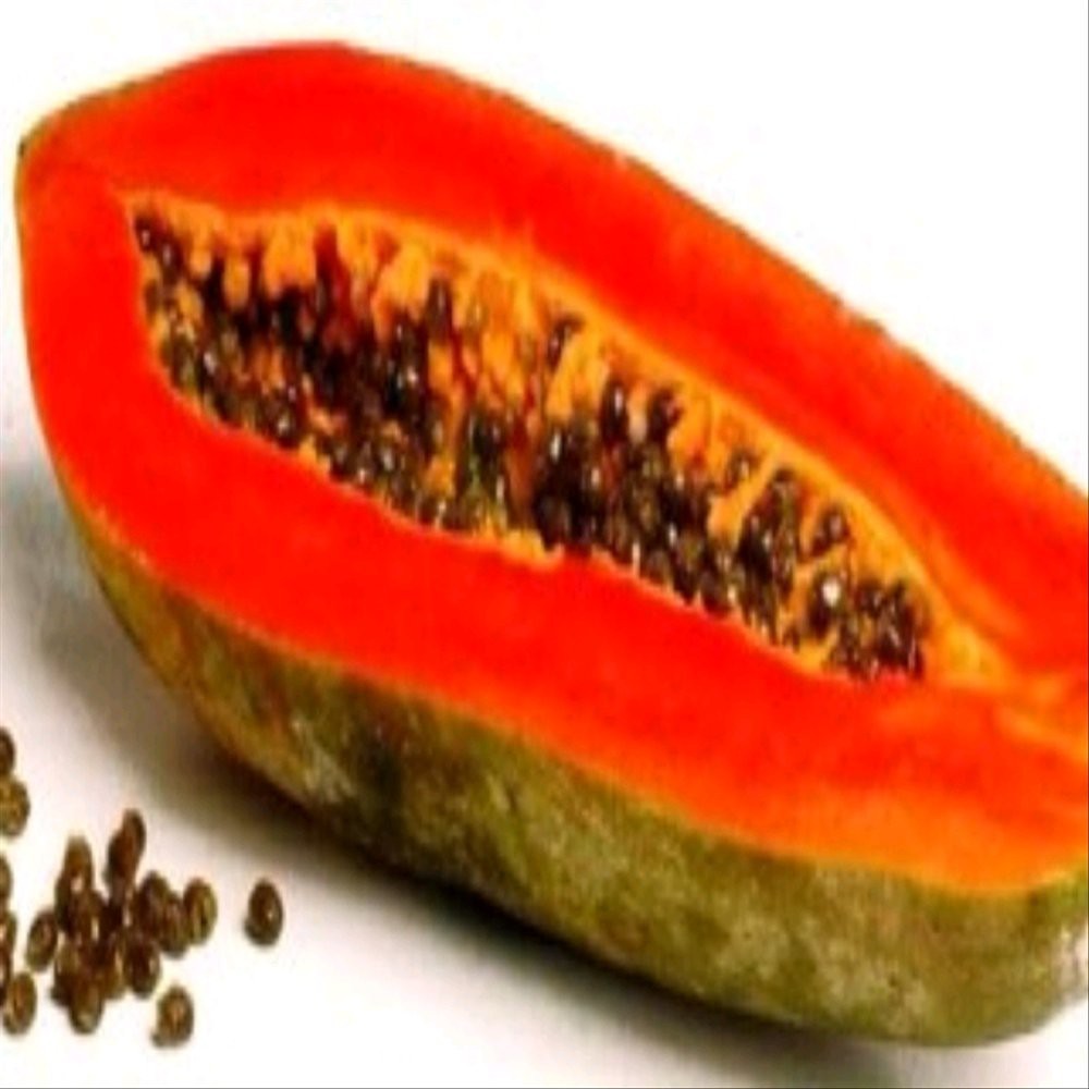 10 benih biji pepaya jingga unggul -MYSEEDGARDEN