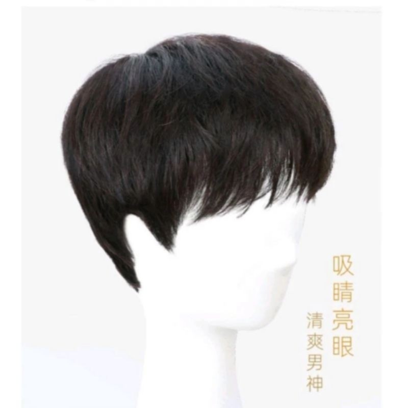 WIG KOREA PENDEK/WIG COWO PENDEK LURUS VERSI KOREA/WIG KOREA MODERN