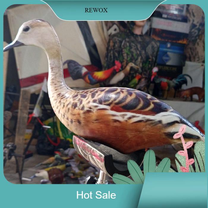 COD JONTROT BELIBIS KEMBANG PATUNG BURUNG WALIWIS BONEKA BURUNG BELIBIS DEKOY BURUNG BELIBIS KEMBANG