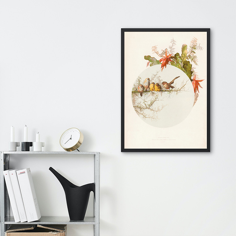 Vintage Birds Wagtail Birds Goldfinch Bird Poster Hummingbird Bird Flower Tree Canvas Printing Wall 