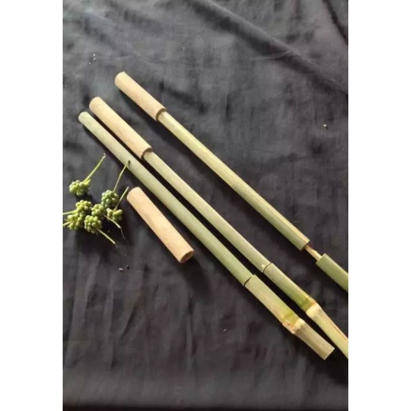 pletokan, mainan tradisional bambu, peletokan bambu, mainan anak