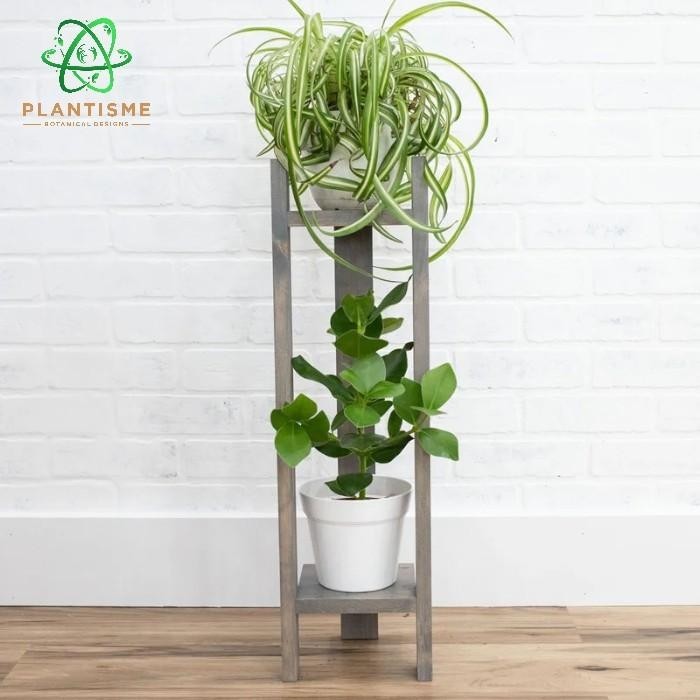 Rak Tanaman – Twotallo Rak 2 Susun Tinggi Kayu Plant Stand Minimalis Tanaman Hias Rak Pot Estetik In