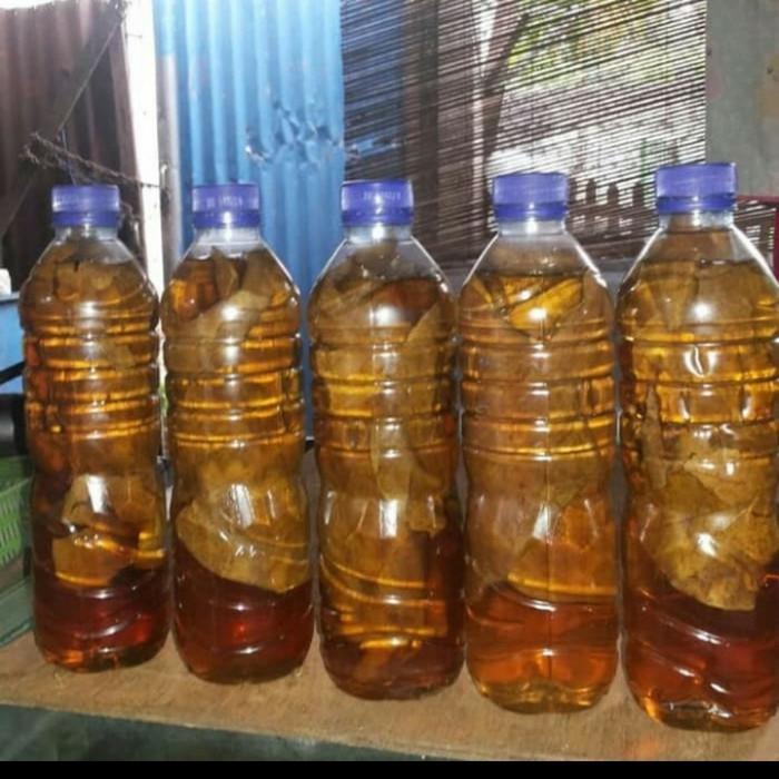 air daun ketapang untuk pencerah sisik ikan cupang - 1 Botol Aqua