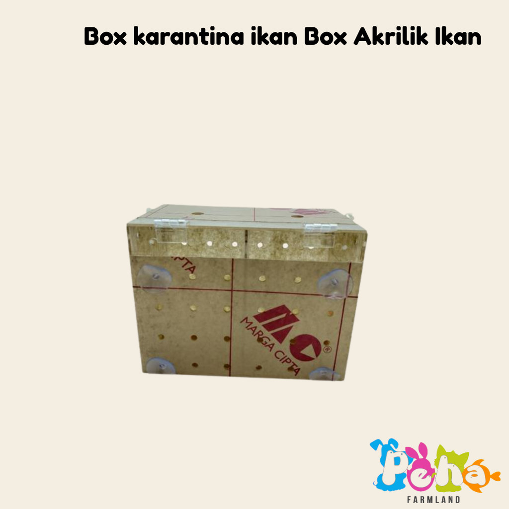 Box karantina ikan Box Akrilik Ikan