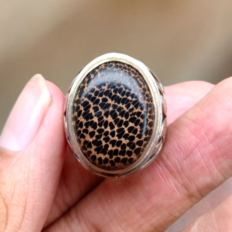 LIWUNG TUTUL MAC4N / cincin batu akik NATURAL