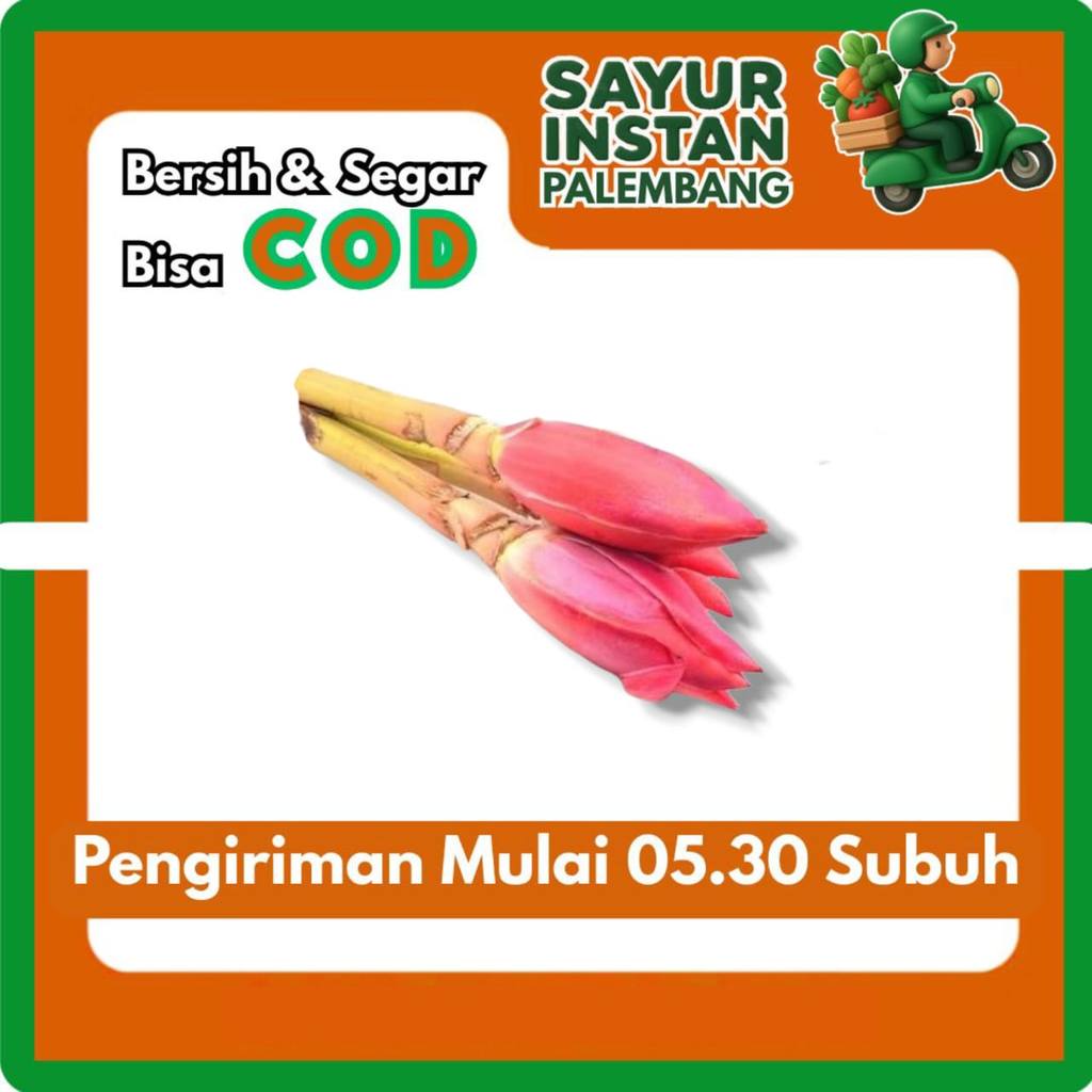 Kecombrang Segar 1 Pcs Dari Palembang