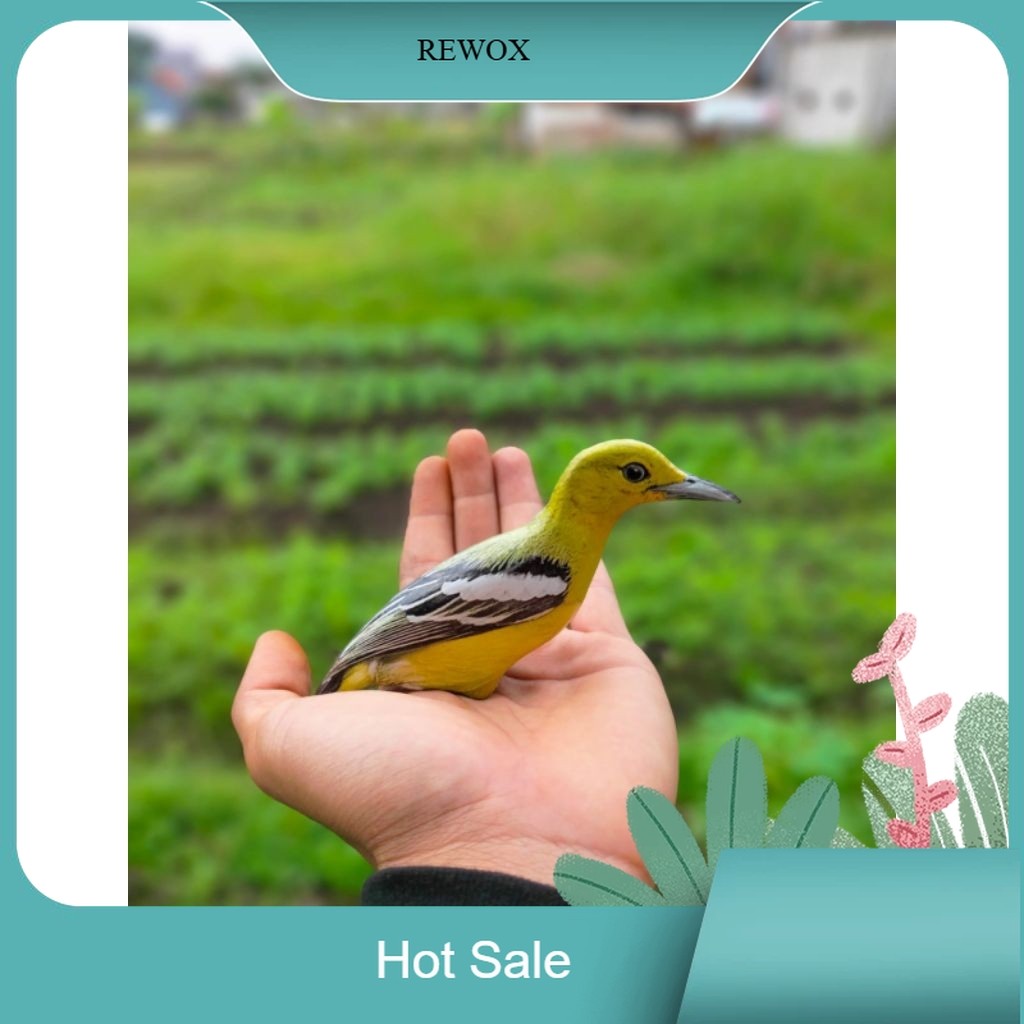 COD PATUNG JONTROT BURUNG CIPOW ATAU SIRTU OCEHAN - JONTROT BURUNG SIRTU OCEHAN MIRIP ASLI