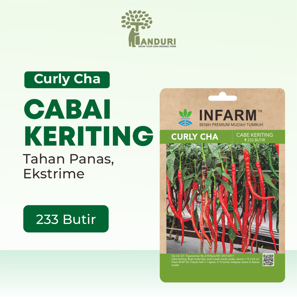TANDURI - Benih Super Cabai Keriting / Cabe Keriting, Benih Unggul Cabe Keriting Super Pedas