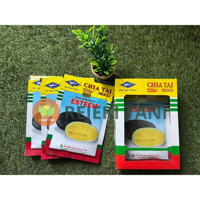 BENIH SEMANGKA ESTEEM INUL KUNING BISI ESTEM ESTIM 20 GR