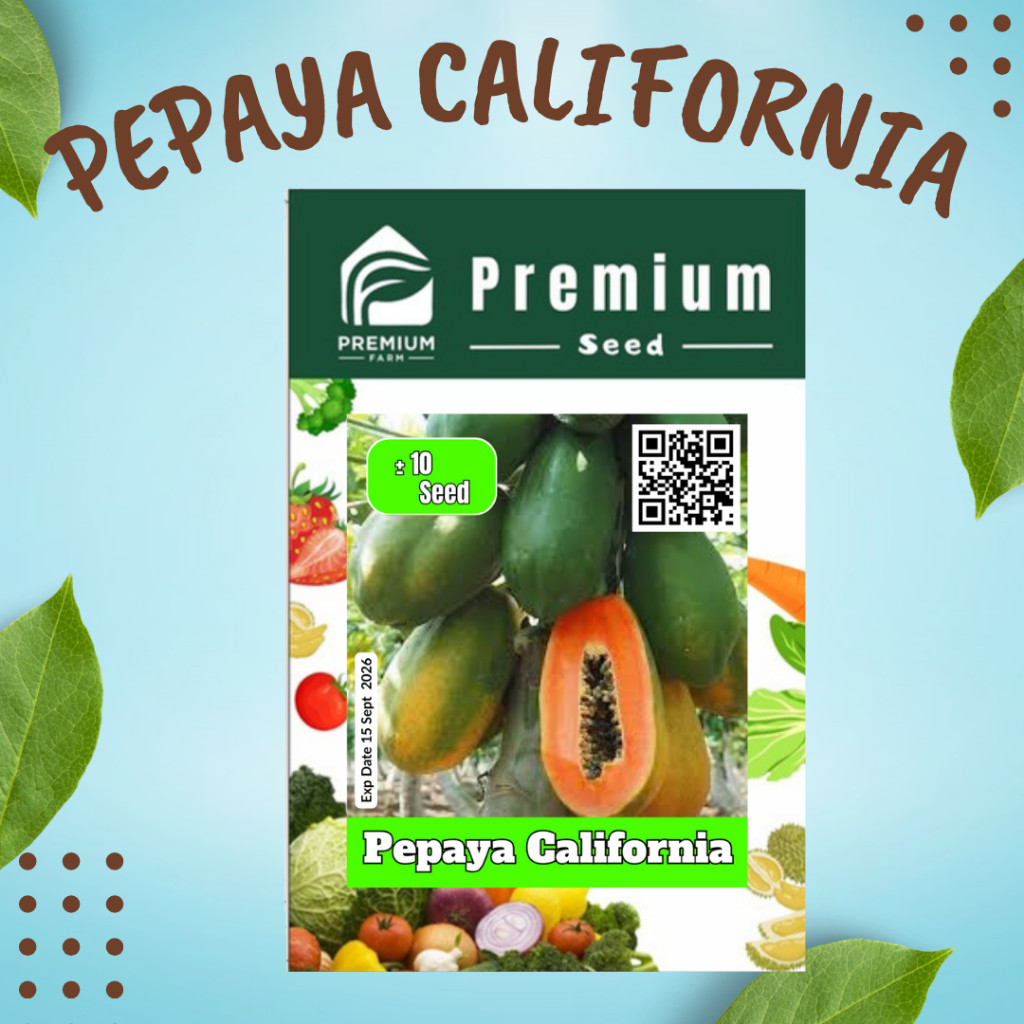 Benih Bibit Pepaya California Premium Unggul Madu