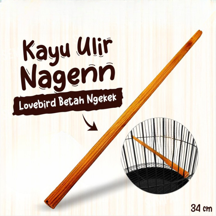 Tangkringan Pangkringan Kayu Ulir 30 cm Sangkar Kandang Burung Lovebird Kenari Kacer