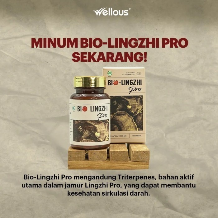 Bio Lingzhi Pro Asli 100% Original Untuk Kesehatan Ginjal BPOM By Izdiihar