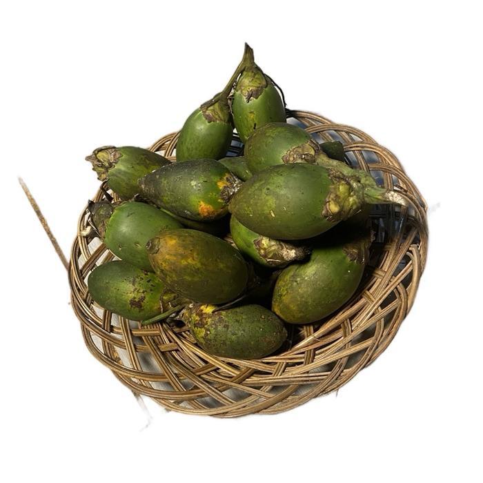 COD Buah Pinang Tua 1kg Setengah Tua ( STW ) Kulit Masih Hijau Bini Sudah Mulai Mengeras >Pangpung A