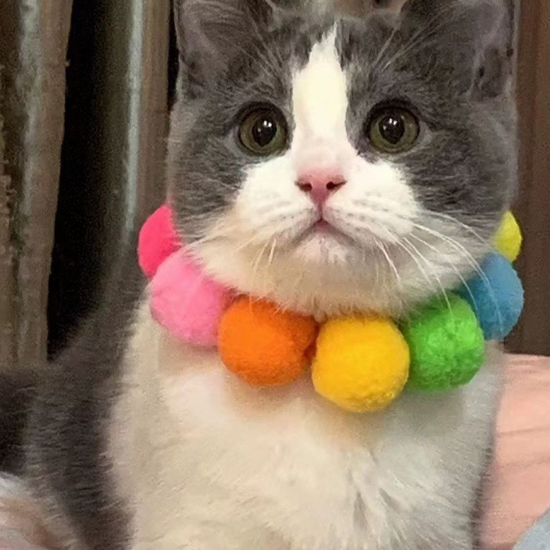 Tail Planet COD  Kalung Kucing dengan Pom-Pom Warna-warni, Ikat Leher Anjing Lucu, Kalung Syal Shiba