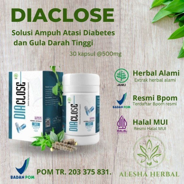 DIACLOSE OBAT HERBAL DIABETES DIACLOSE ASLI ORIGINAL