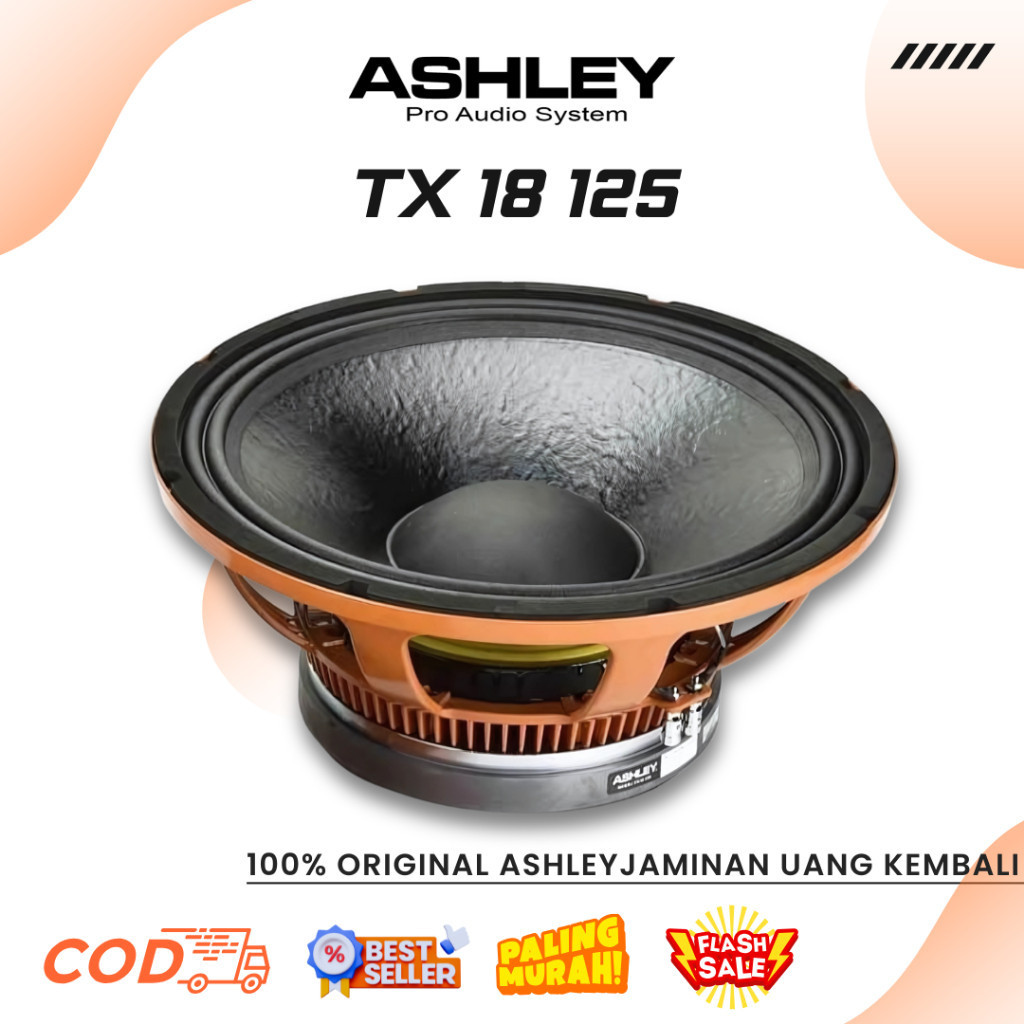 Speker Ashley TX18 125 18 Inch Professional Speaker