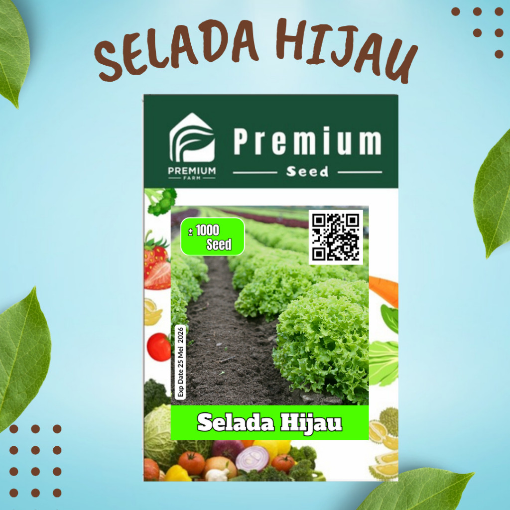 Benih Bibit SELADA HIJAU KERITING PREMIUM SEED