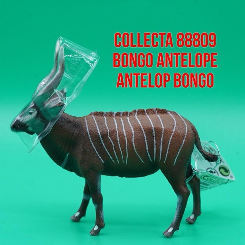 Collecta 88809 Bongo Antelope Antelop Bongo Dataran Rendah Tragelaphus Eurycerus | Mainan Figure Bin