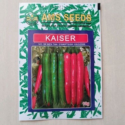 KAISER Koreana Seed Benih Cabe Merah  10 Biji /Benih -Repacking F1 seeds
