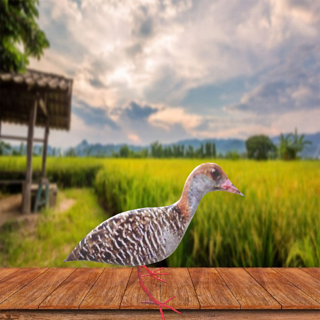 JONTROT BURUNG SINTAR SAWAH / PATUNG SINTAR BESAR BONEKA MAINAN