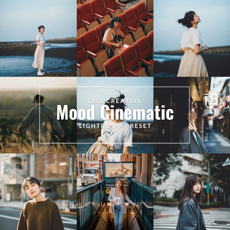 Mood Cinematic Aesthetic Premium Preset | Lightroom Preset