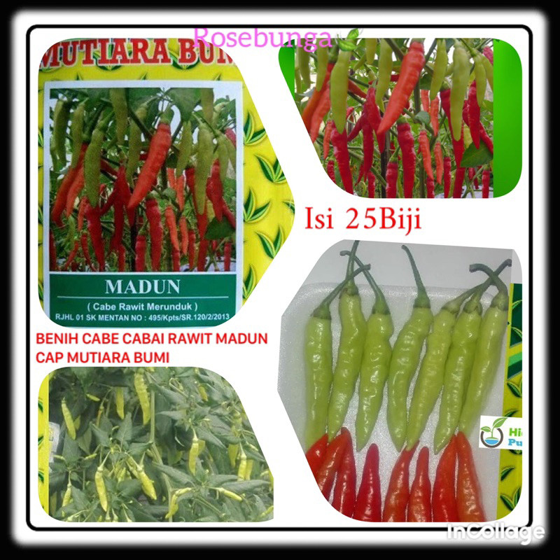 25 Benih Biji Cabai Rawit Madun F1 - repacking