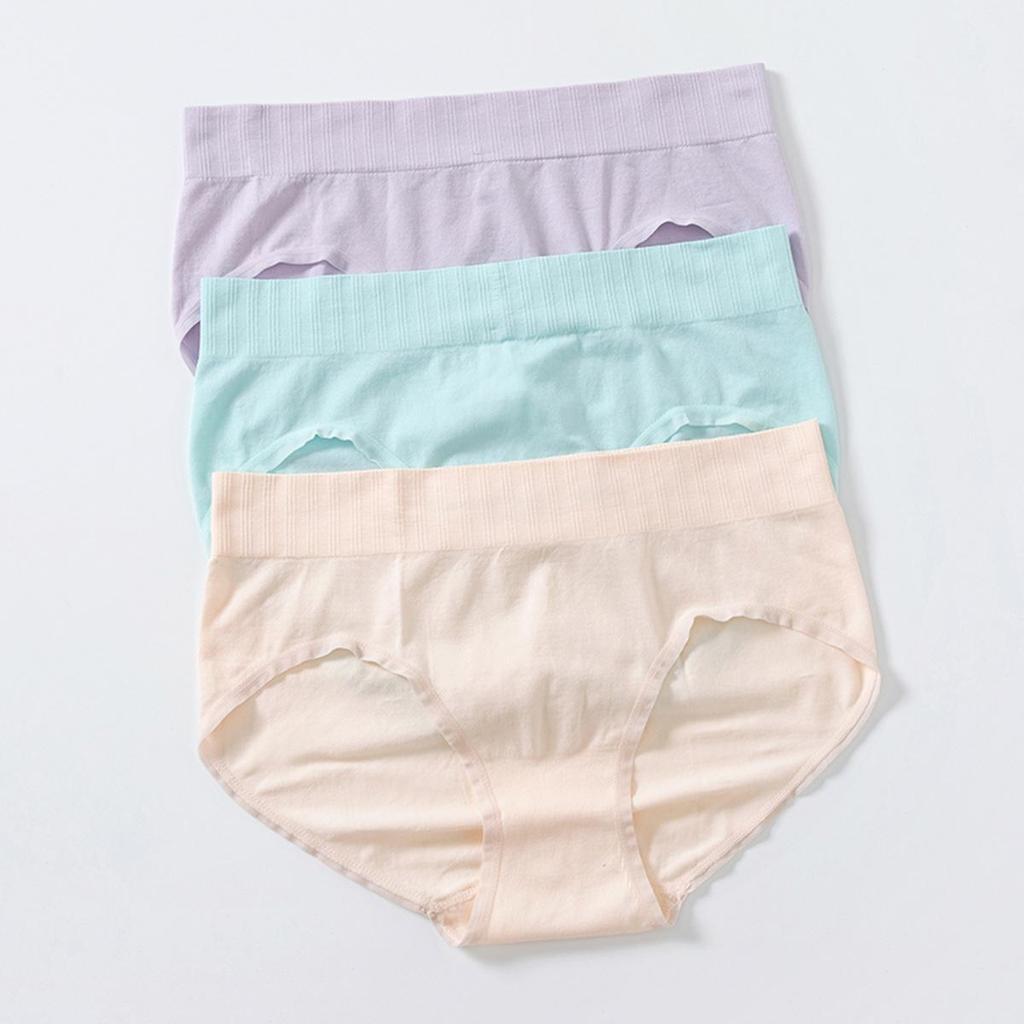 Young Curves Panty Pack Smooth Seamless Midi C04-100712MIX