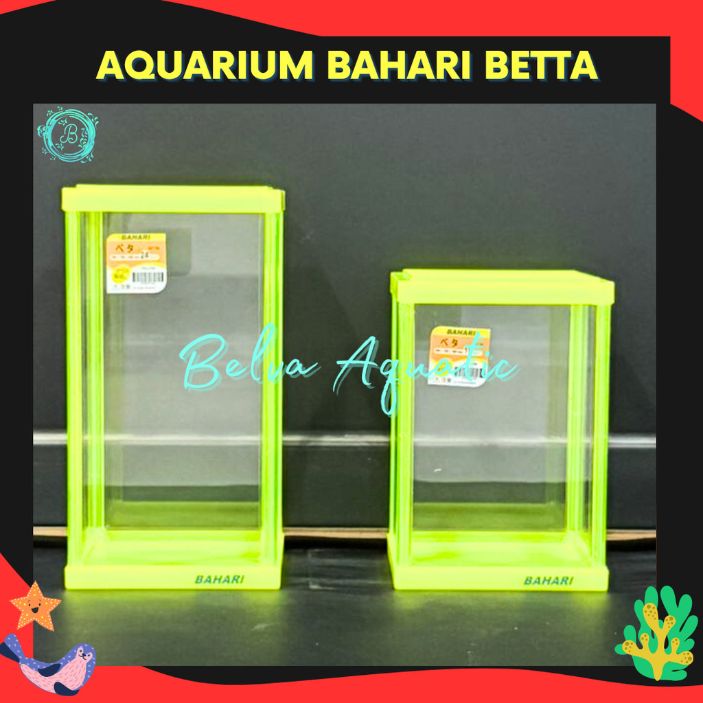 Aquarium Bahari Betta Soliter Wadah Cupang Guppy Ikan Hias