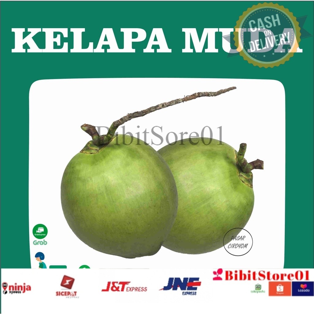Kelapa Muda Fresh Murah Bandung 1 Buah Segar