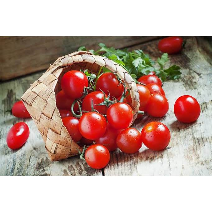 Amefurashi 50 Benih Tomat Ceri Merah Manis Bibit Small Red Cherry Tomato Seed